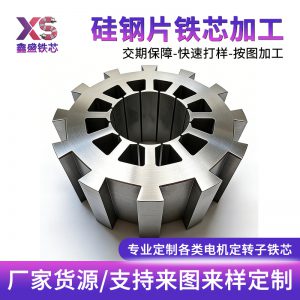 电机铁芯 (复制)